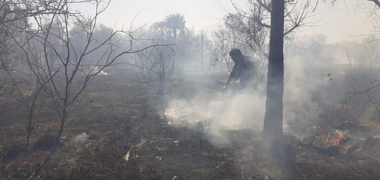 Incendios que arrasó con la Fauna y Flora en el Parque Provincial San Cayetano.