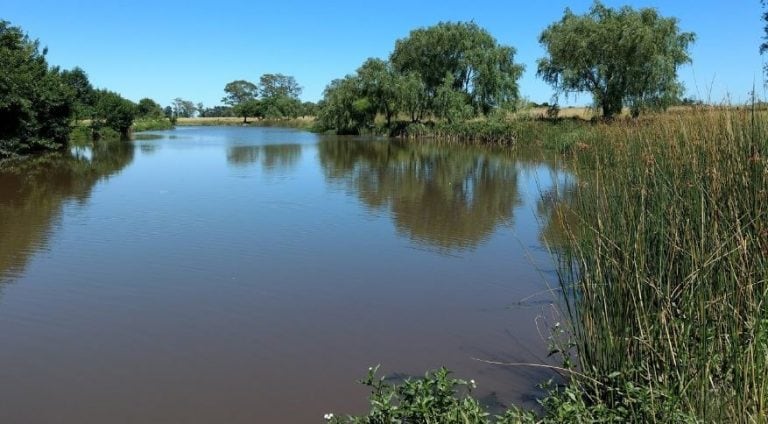 Arroyo El Pescado