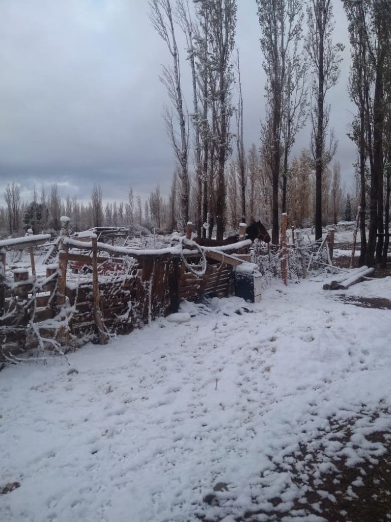 Varias zonas del departamento Iglesia, en San Juan, amanecieron nevadas.