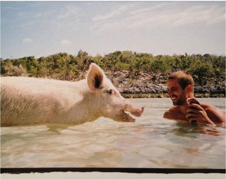 La curiosa foto de Paul Walker. "Pensando en ti", escribió su hija.