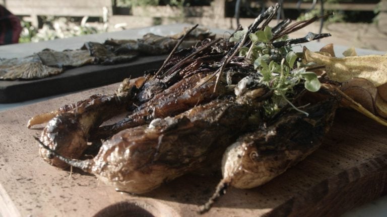 Nueva temporada de Locos x el Asado.