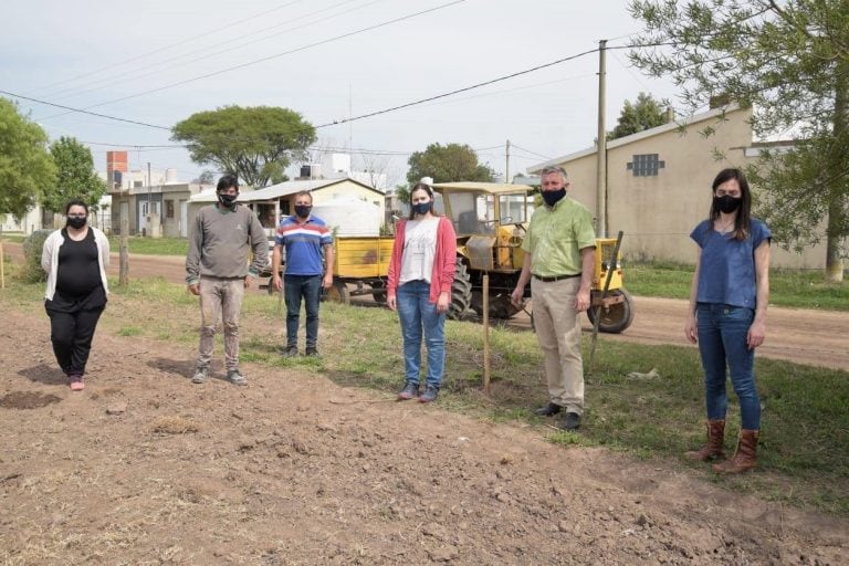 Segunda etapa de plantación de Cortinas Forestales en Arroyito