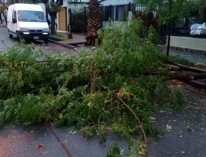 En San Rafael, la lluvia caída hasta este lunes si bien no ha provocado grandes inconvenientes en viviendas, porvocó diversos problemas.