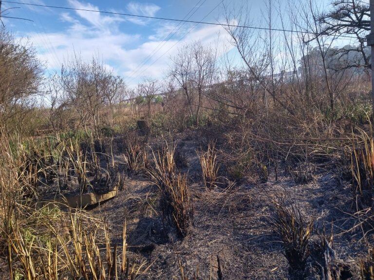 La noble tarea de los Bomberos Voluntarios de Ceibas.
Crédito: Bomberos Ceibas