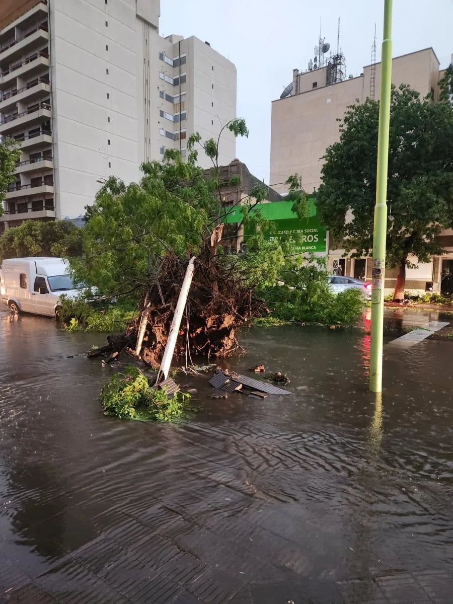 Fuerte temporal en Bahía Blanca dejó destrozos en la ciudad, varios heridos y evacuados. - Gentileza