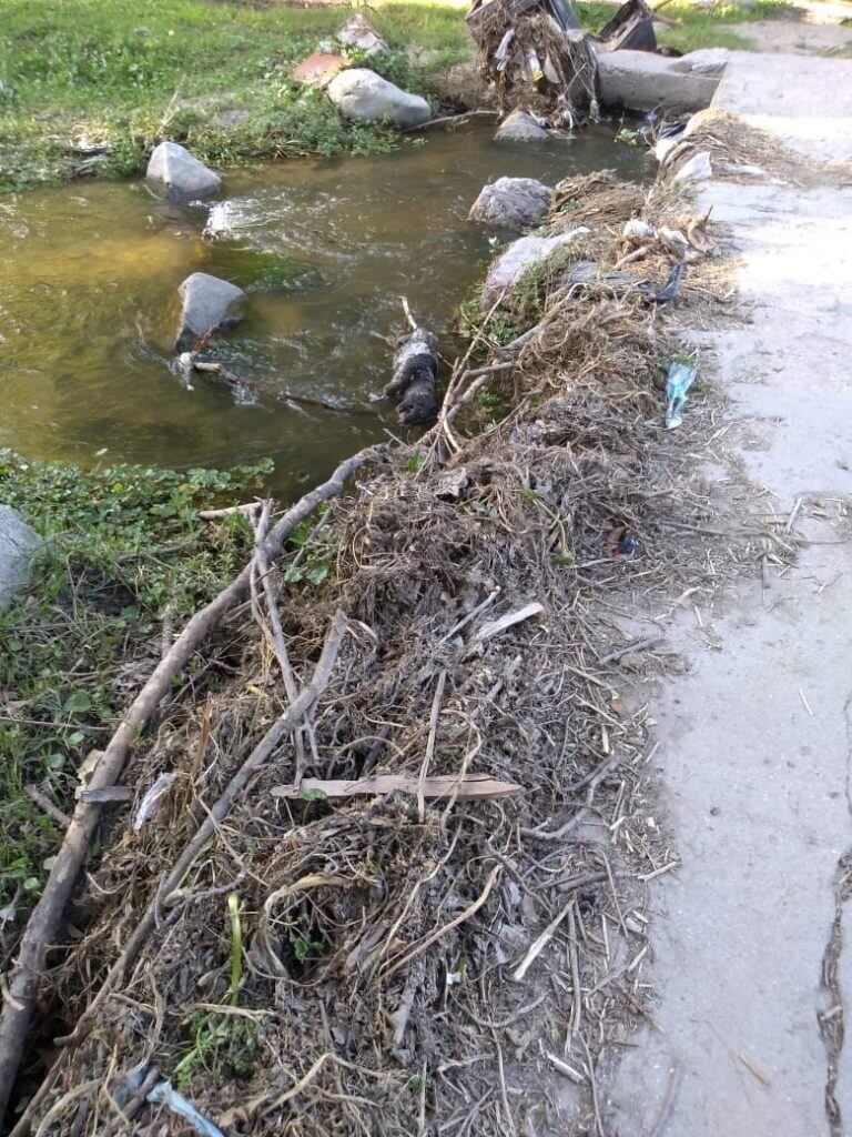 Basura en el arroyo Chicamtoltina de Alta Gracia