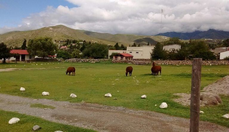 Tafí del Valle atrae miles de turistas (Romina Aguirre)