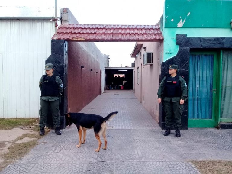 Allanamientos por carne en mal estado en San Francisco secuestrada por Gendarmería Nacional. (Fotos Gendarmería Nacional)