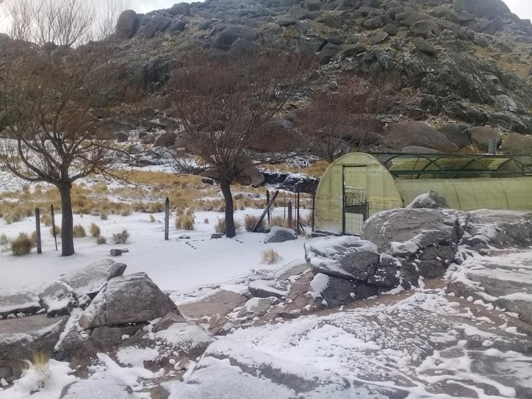 Las fotos de la nevada en el Champaquí.