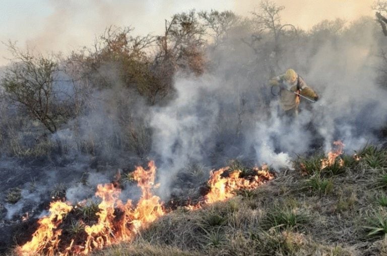 Incendio en campos de Feliciano