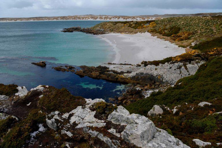 Malvinas tiene una increíble biodiversidad, con más de 25 especies de ballenas y delfines y cinco especies de pinguinos. Fotos de Pablo Porciuncula Brune / AFP