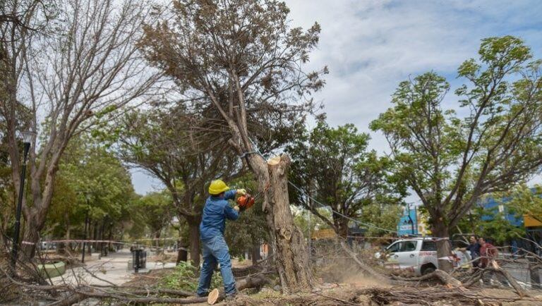 Temporal en Neuquén