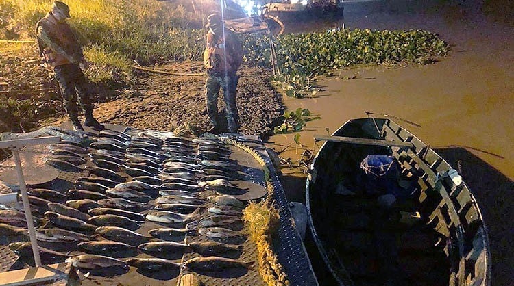 Denuncian crecimiento exponencial de la pesca clandestina en el río Paraná