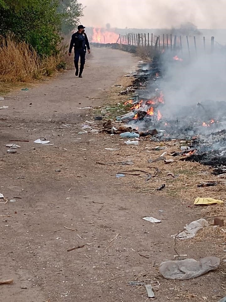 Indignante: prendieron fuego a un perro y se originó un incendio