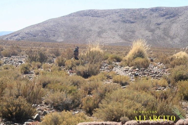 Doña Teodosia Viveros: ejemplo de resiliencia en la Puna salteña. (Fundación Alfarcito)