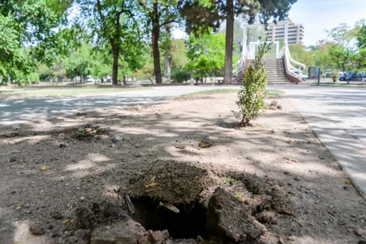 Por los constantes robos, la Municipalidad dejará de poner plantas en el Parque Sarmiento