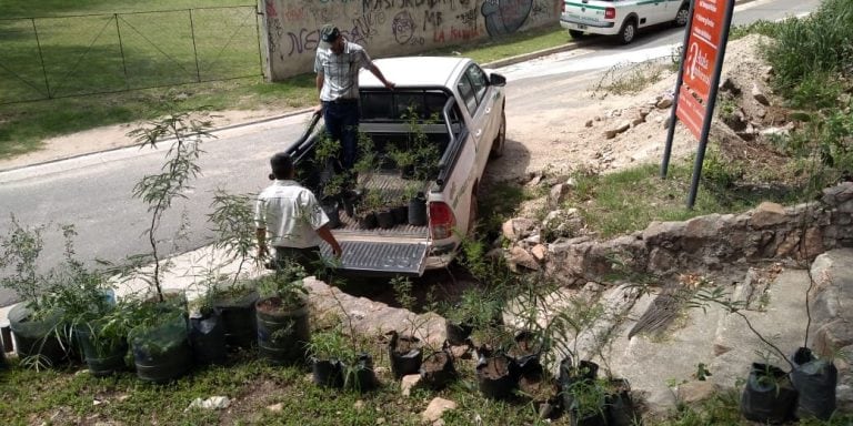 Germán Jaacks, donó 80 árboles nativos al vivero del Aula Ambiental.