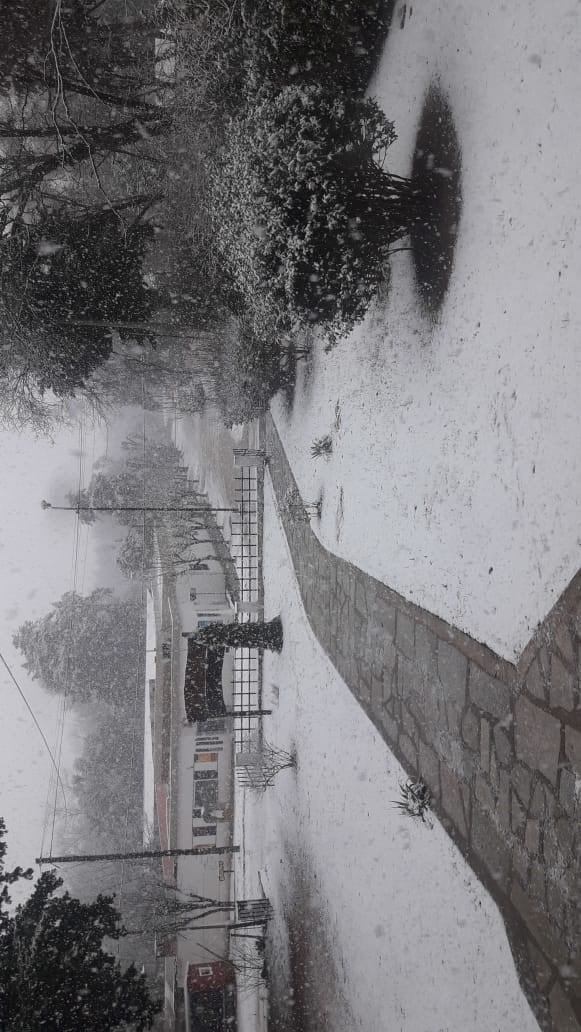 Las nevadas llegaron al sur provincia y agosto se despide con un paisaje vestido de blanco.