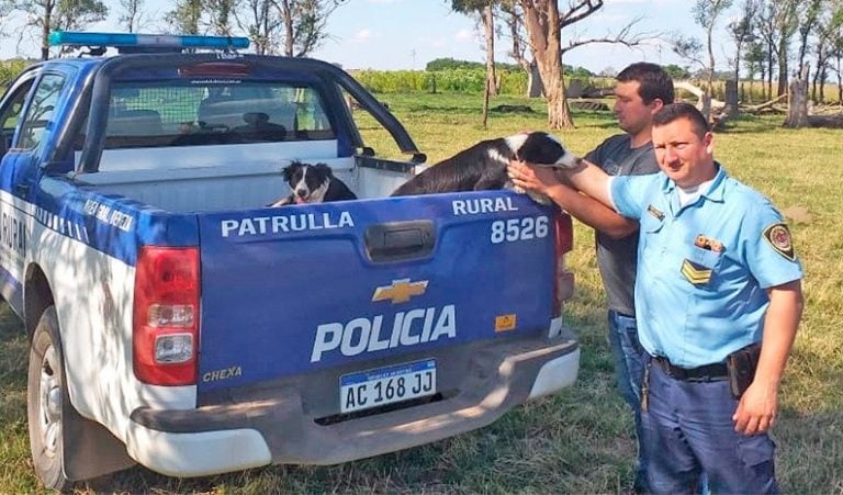 El robo ocurrió en un campo en General Cabrera y el cuidador se llevó animales valiosos. (Unidad Departamental Río Cuarto)