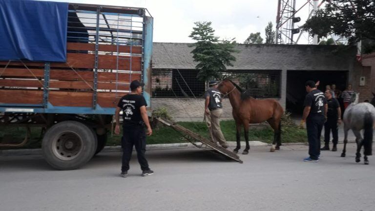 Foto: Policía de Tucumán.