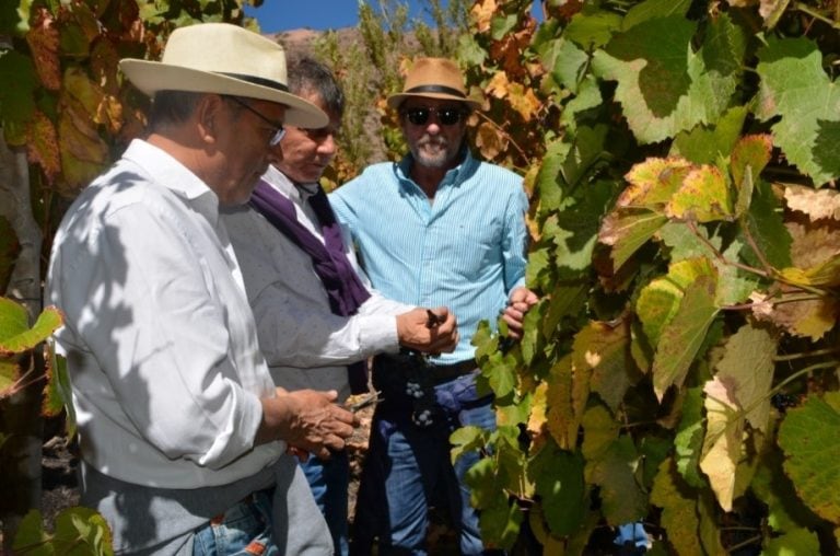 Los ministros Abud Robles y Rizzotti, en el viñedo de la familia Dupont.