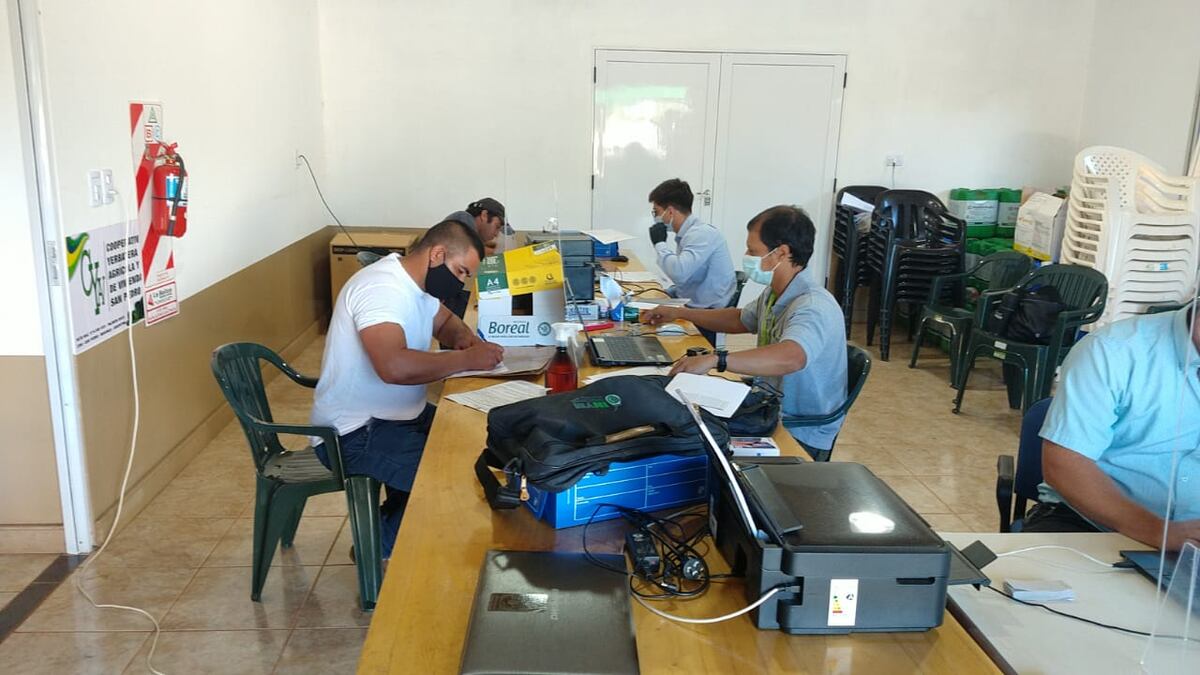 Unos 100 colonos de la localidad de San Pedro se anotaron en el Registro de Productores y Yerbales