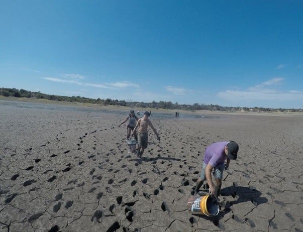 Con baldes, en medio del barro, los voluntarios fueron rescantando peces en El Carrizal.