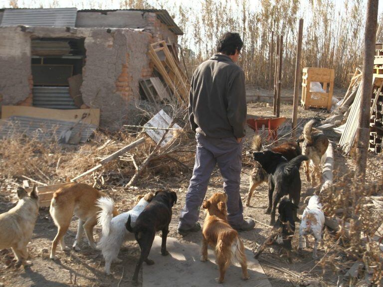 Las llamas se encontraban a menos de 30 metros de uno de los caniles comunitarios cuando el hombre se percató de la situación.