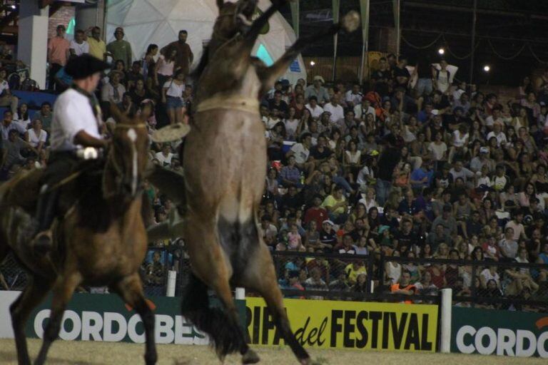 La secuencia completa del accidente que le costó la vida al jinete Norberto Cosutta en el Festival de Doma y Folclore de Jesús María.