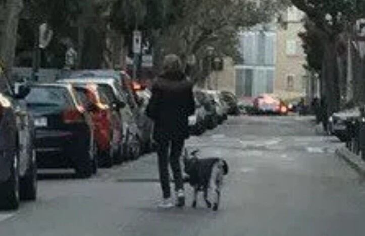 Una mujer junto a su cabra haciendo un pequeño paseo. (Foto/Web)