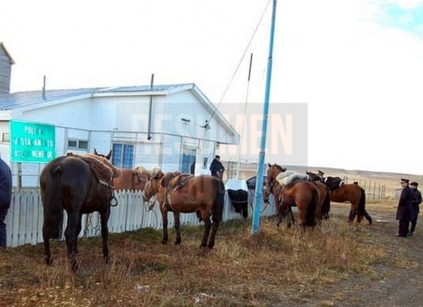 Caballos en custodia de la Brigada rural