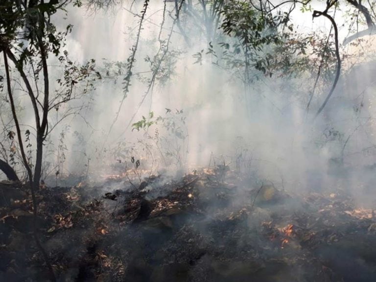 Incendio en Tepoztlán.