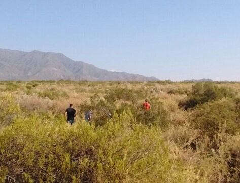 En este campo habían armado una plantación de marihuana. Sólo se llega caminando