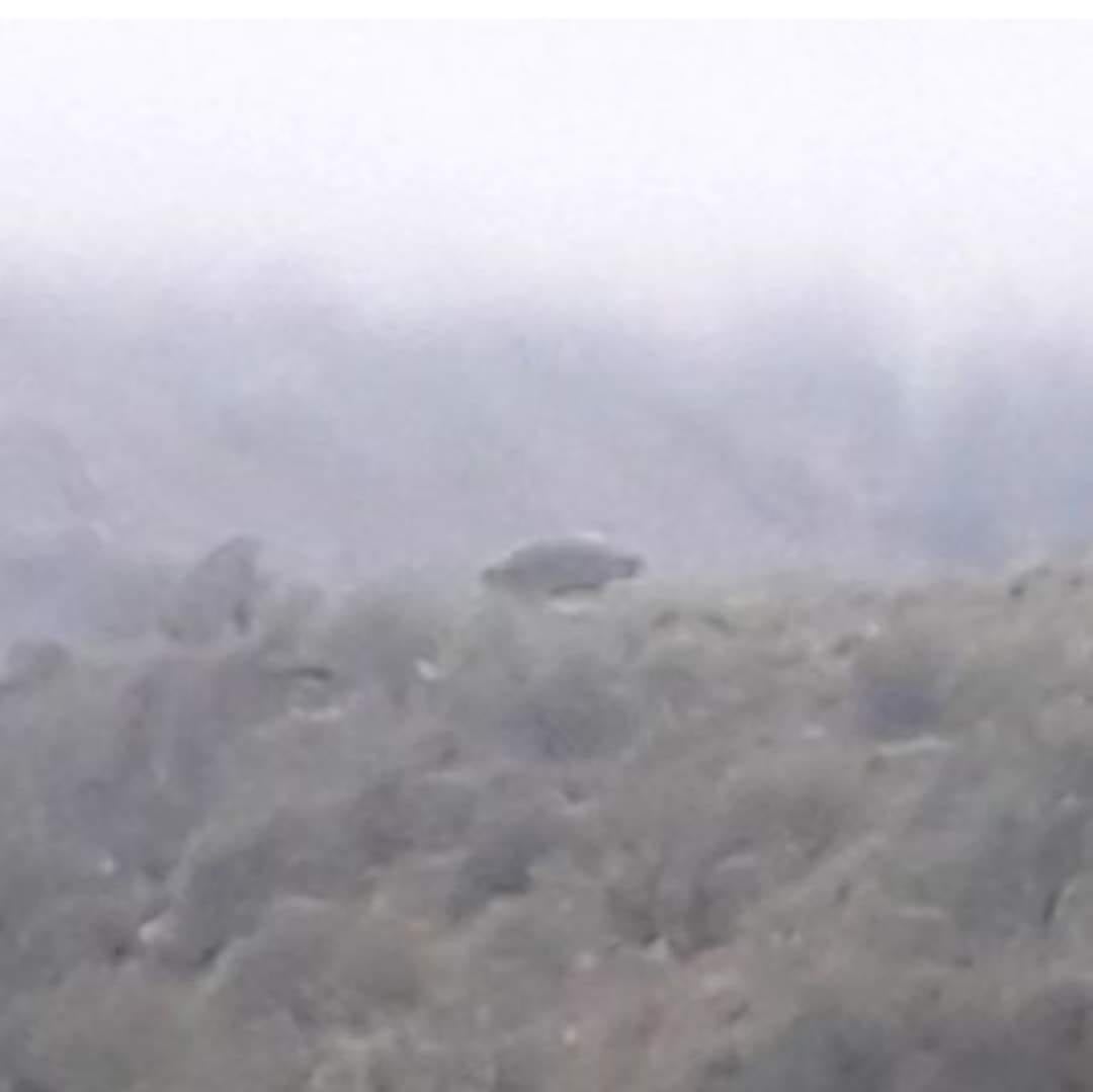 Aseguran haber captado un ovni sobrevolando el cerro Uritorco en Capilla del Monte.