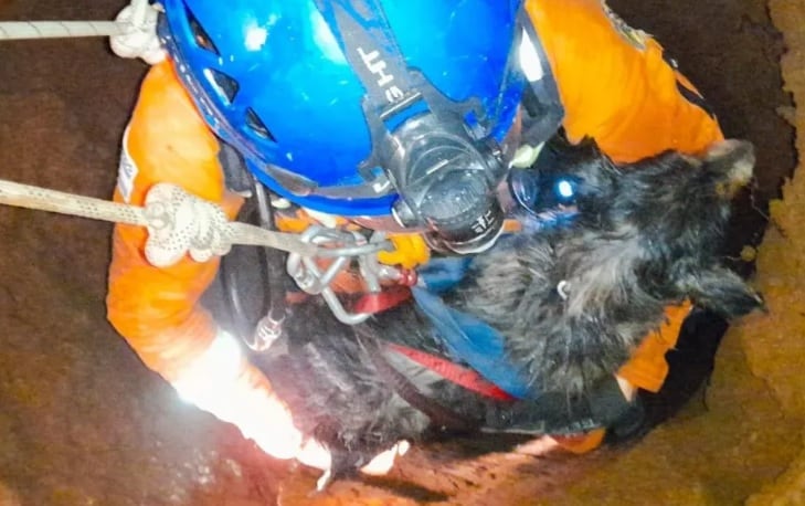 Final feliz para Luque: cayó a un pozo y debió ser rescatado por los Bomberos.