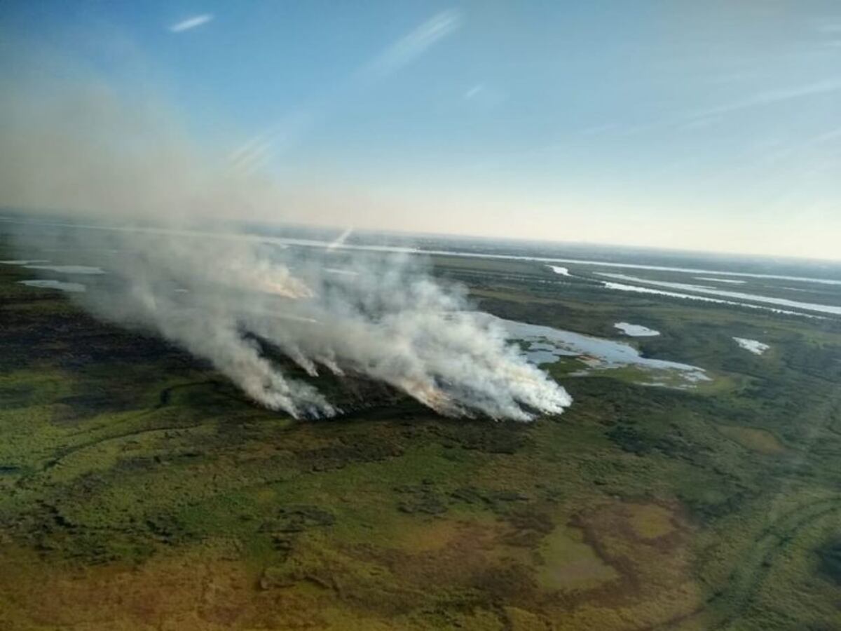 Reunión Provincia - Nación por incendios en las islas: "Por ahora todo está controlado"