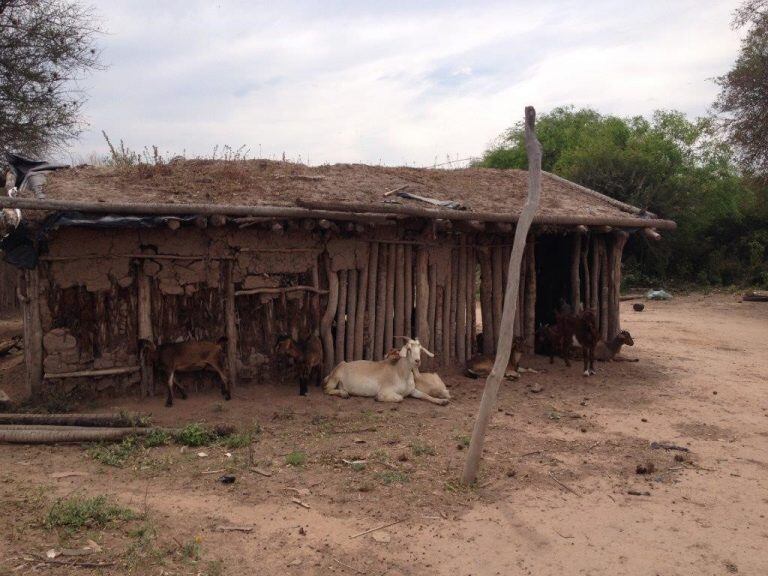 Hogar rudimentario en el interior (Web).