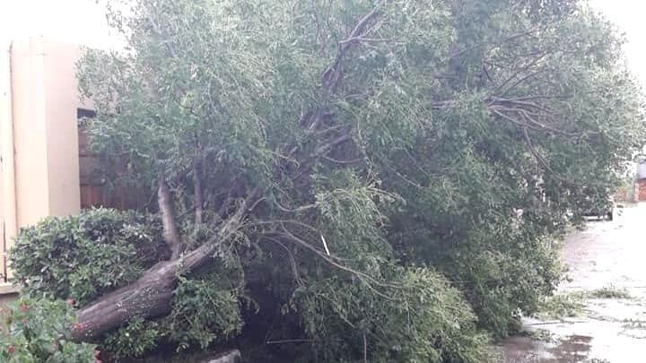 La tormenta dejó cuantiosos daños (Vía Santa Rosa)