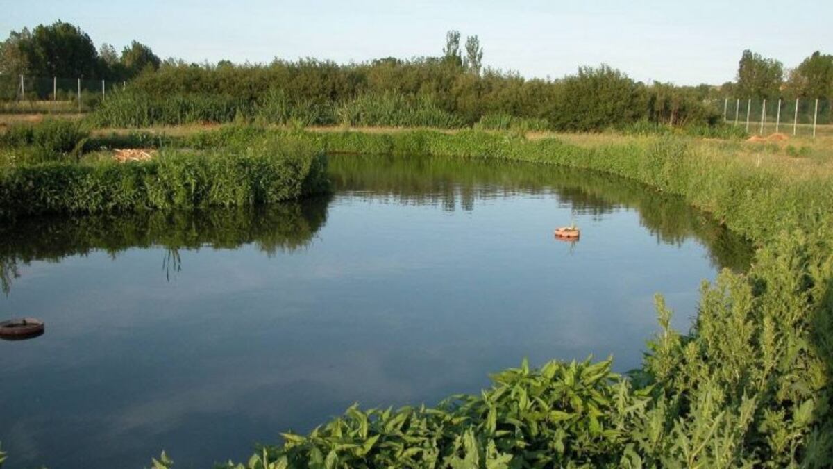 Taller gratuito sobre tratamiento de aguas residuales