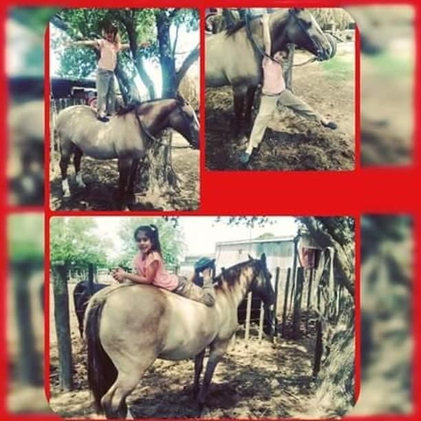 Victoria Rovetto, con 12 años, es amansadora de caballos en General Cabrera, Córdoba, y su técnica es furor en cada encuentro de animales de este tipo en el interior.