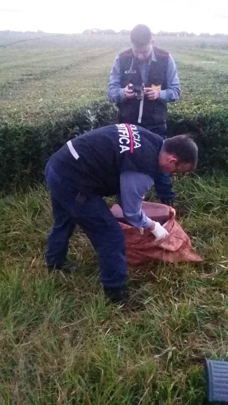 La Policía detuvo a los principales sospechosos del homicidio de un septuagenario en Campo Viera