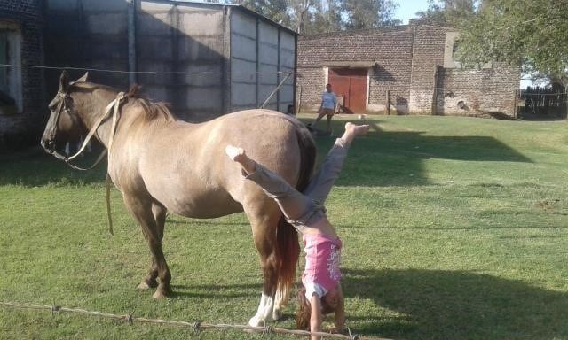 Victoria Rovetto, con 12 años, es amansadora de caballos en General Cabrera, Córdoba, y su técnica es furor en cada encuentro de animales de este tipo en el interior.