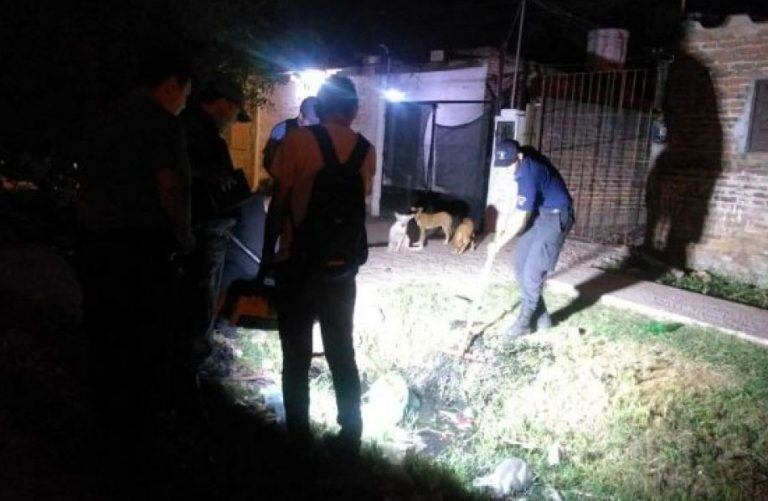 El lugar donde fue encontrado el cadáver de Niveiro, poco después de las 1 AM del jueves 26.