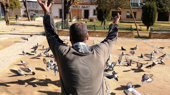 Hay personas que quieren exterminar a las palomas (posición destructiva) y hay quienes prefieren darles de comer (posición constructiva); y están también los que ni siquiera se dan cuenta de que estas singulares aves existen (posición indiferente).