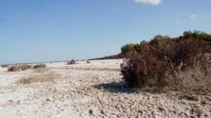 Las Salinas, donde fallecieron los jubilados.