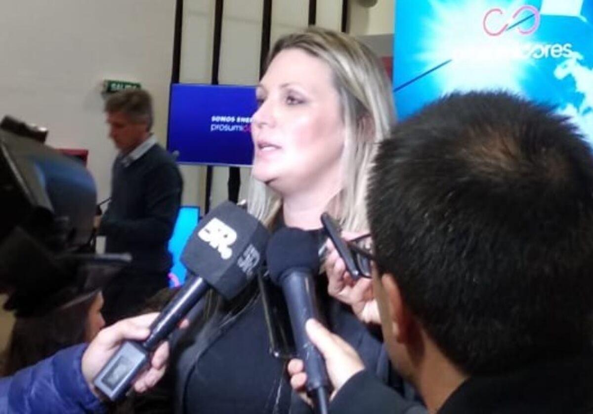 Tras el apagón masivo, la secretaria de Energía de Santa Fe habló de "operaciones"