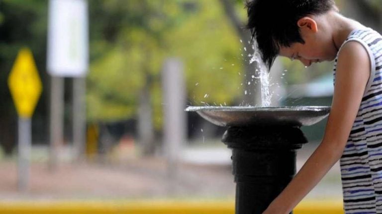 Ola de calor en Mendoza.