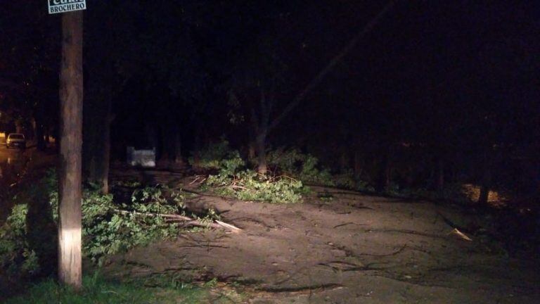 Destrozos por la tormenta