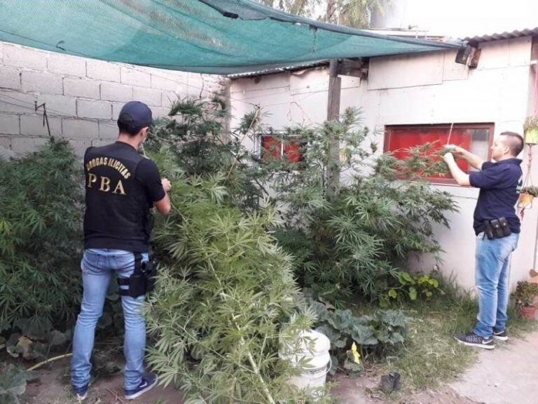 Se realizaron 6 allanamientos por supuesta venta de drogas