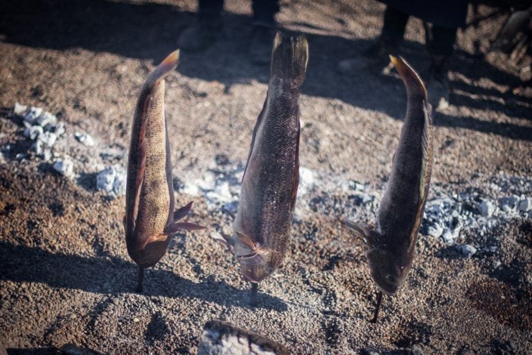 Llega Madryn al Plato 2019.